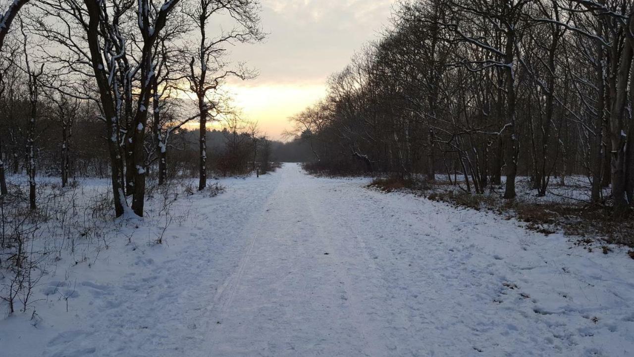 Vrijstaande Blokhut Villa Egmond Binnen Bagian luar foto